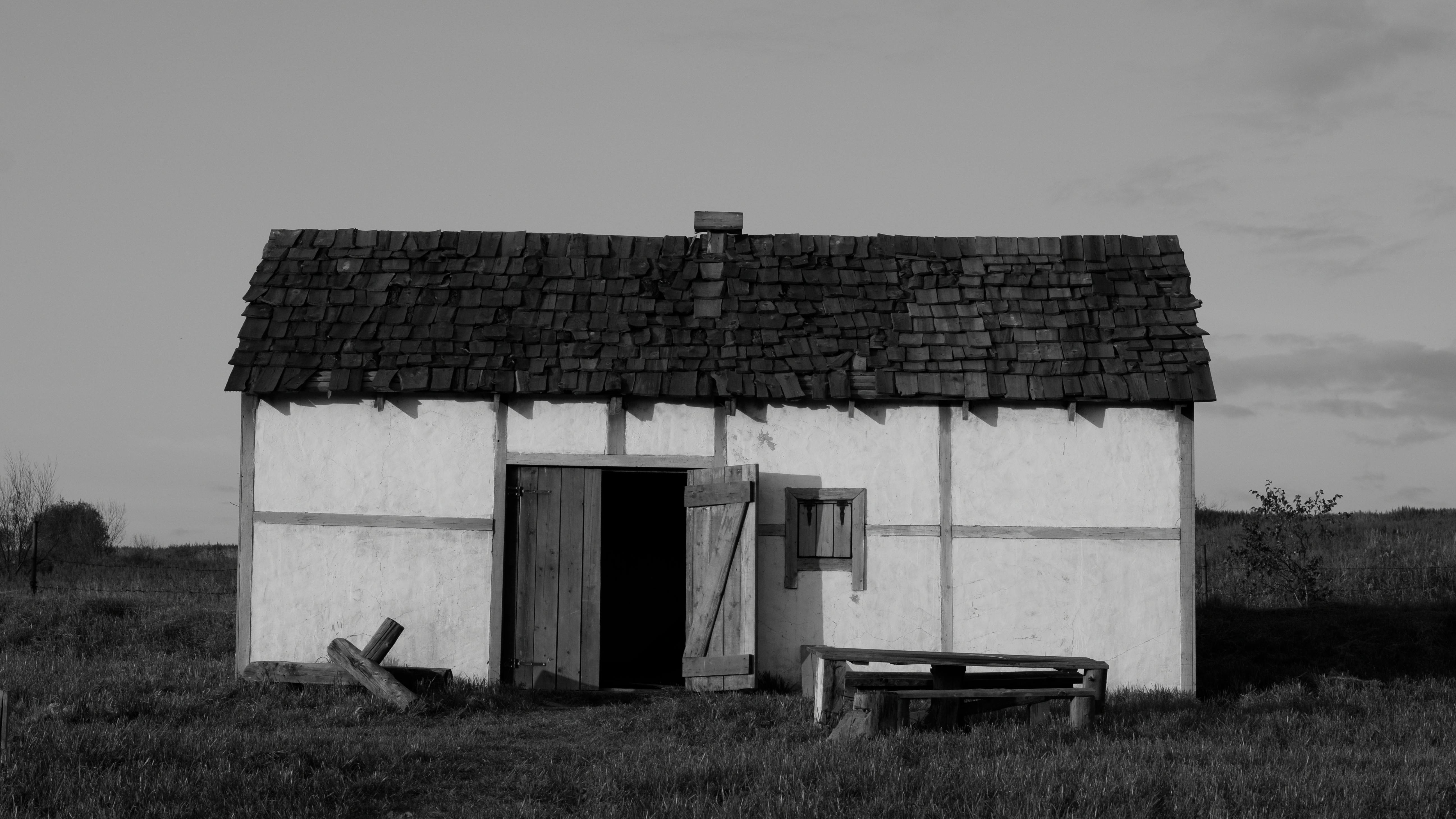 Image description